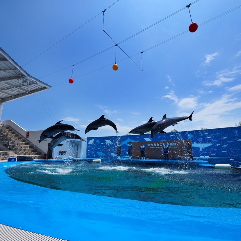 【PR】仙台 |「仙台うみの杜水族館」海の世界に魅了される。ワクワクがつまったエンタメ空間