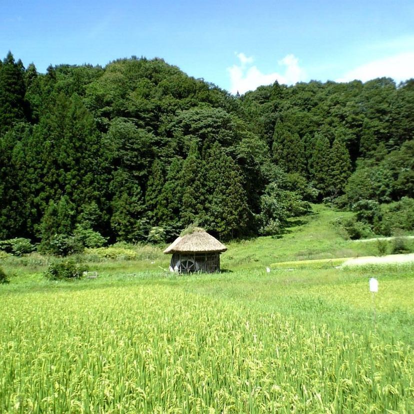【PR】田子 |「大黒森タプコプ創遊村」で昔ながらの暮らしを体験！田子ならではのスイーツも堪能