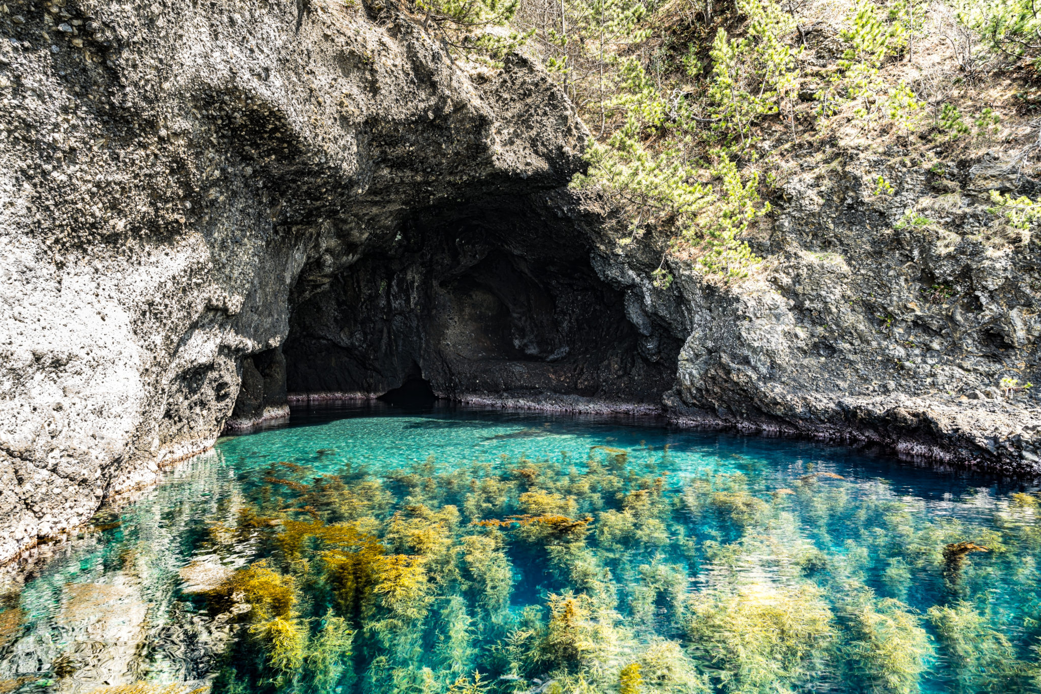 「琴浦洞窟の入り口」