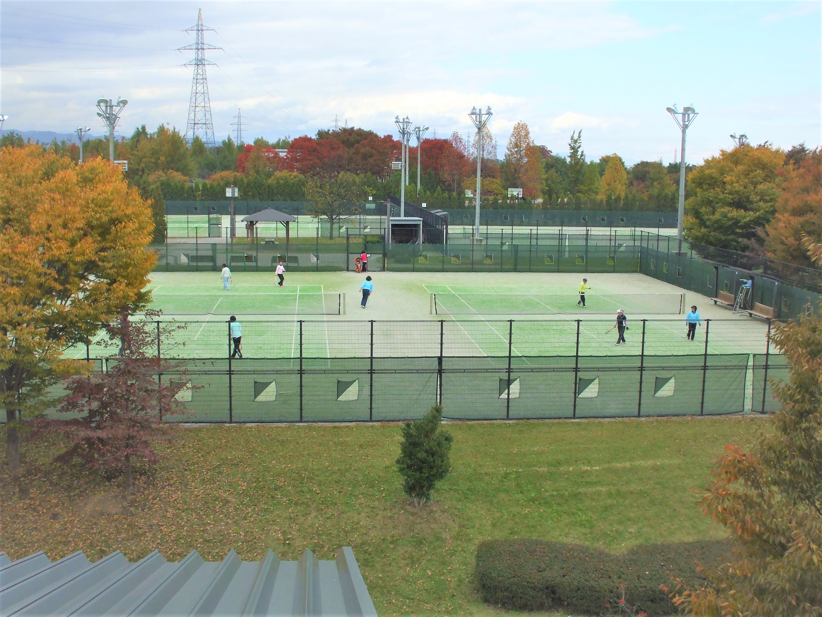 「テニスの森」