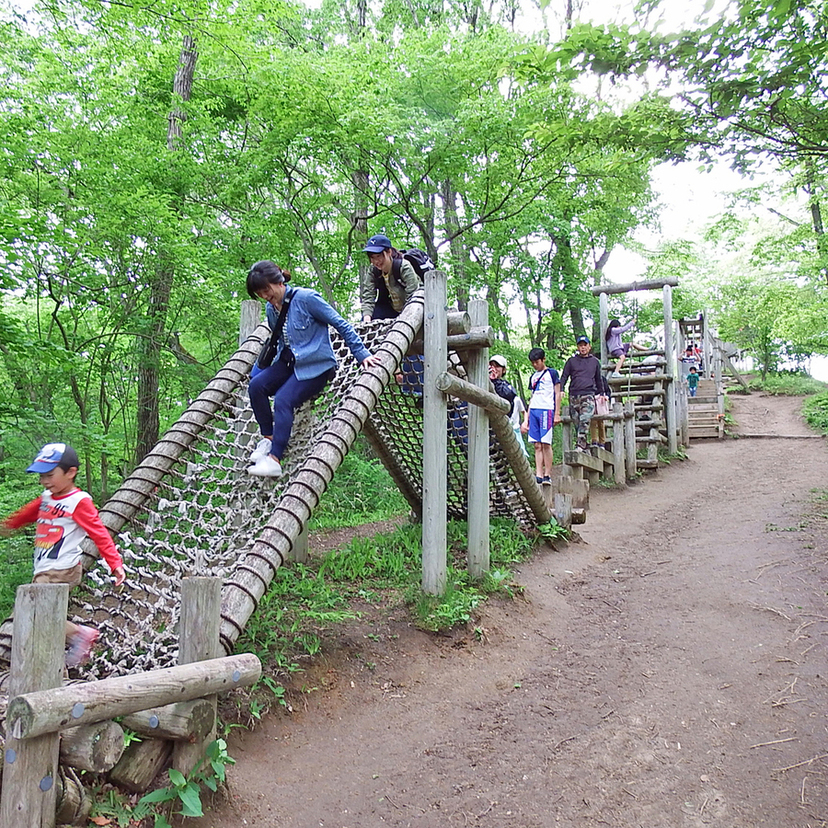 【PR】利府 |「宮城県県民の森」遊びながら森の魅力を体感しよう！