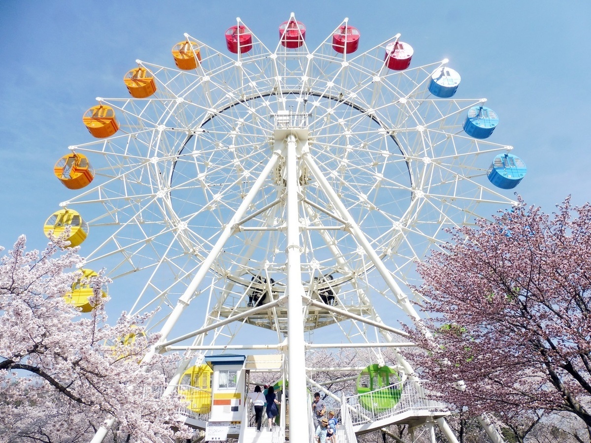 八戸 八戸公園 あれもこれも遊びたい いろんなテーマパークがひとつになった魅力たっぷりの総合公園 おでcafe