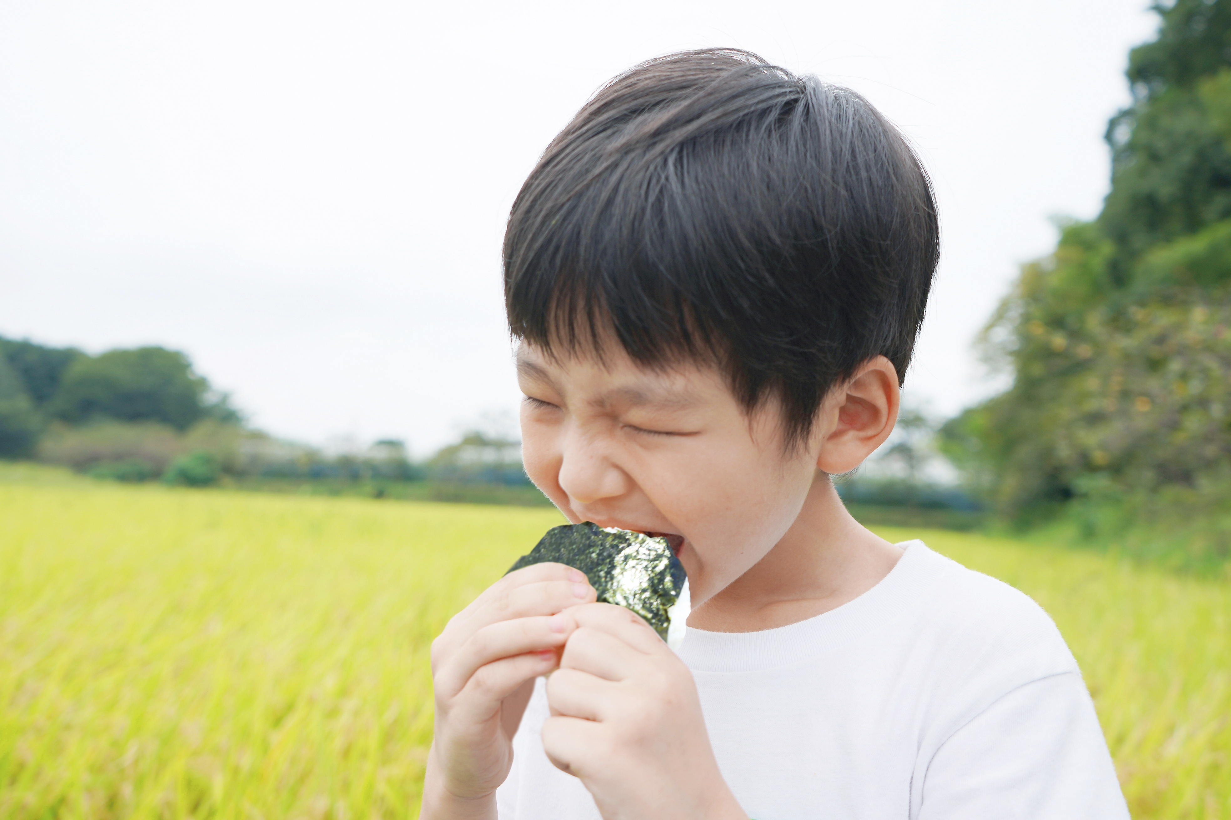 環境保全米のおいしさ