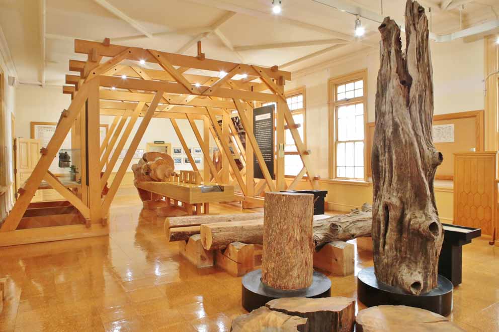 ヒバの生態や歴史を紹介する展示室