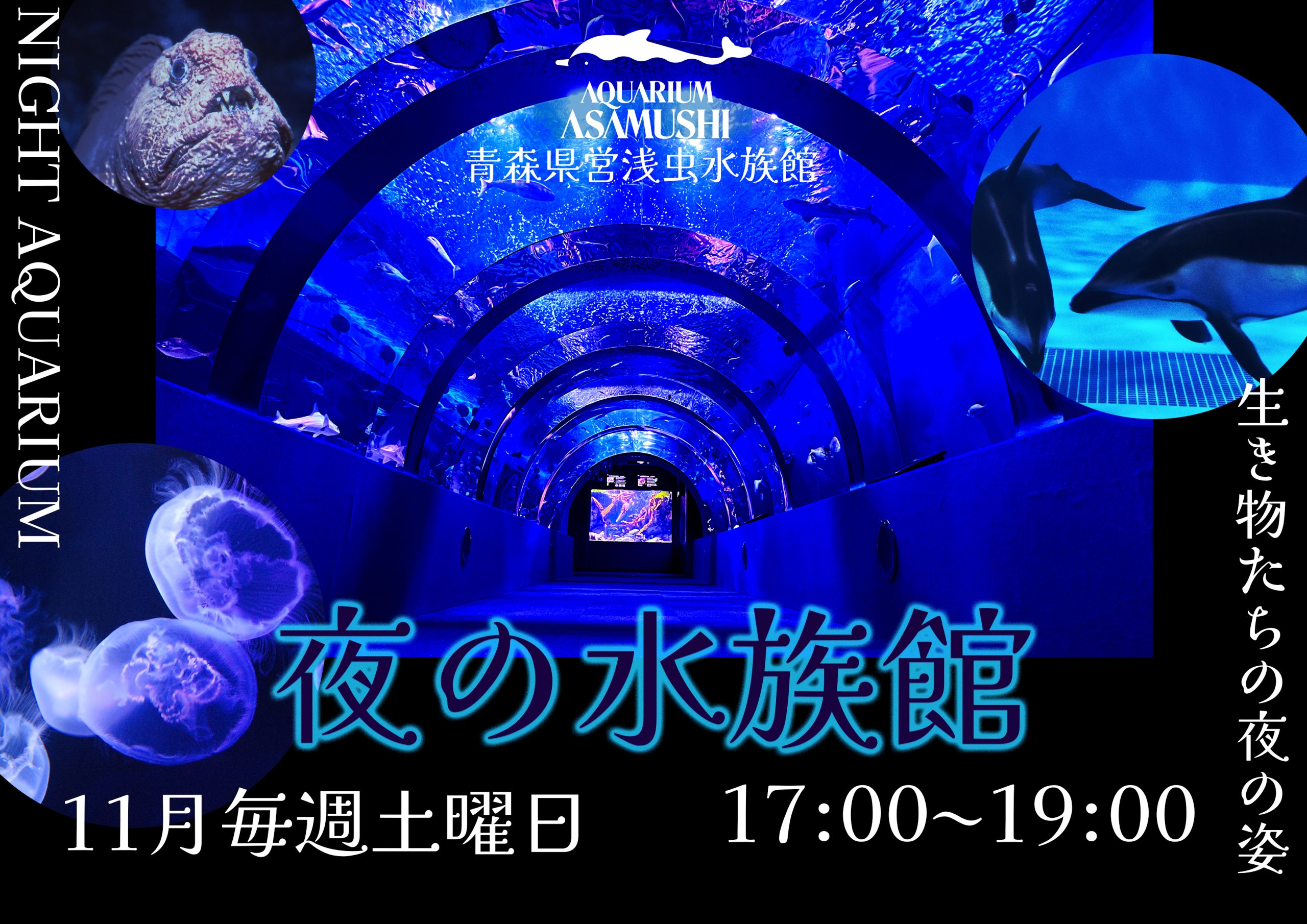 《11月》浅虫水族館イベントのお知らせ