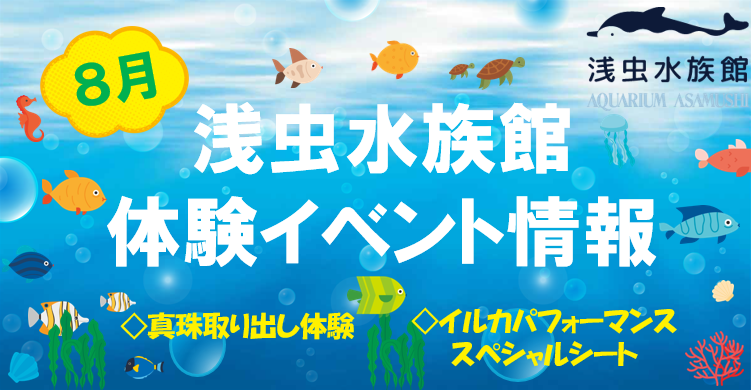 《８月》浅虫水族館体験イベントのお知らせ